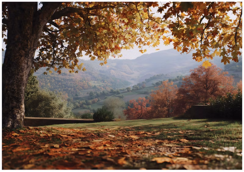 Fototapeta WALLARENA Do Sypialni Salonu Winylowa Krajobraz Natura Las Brązowy 300×210 cm 16328VX6 1 szt.