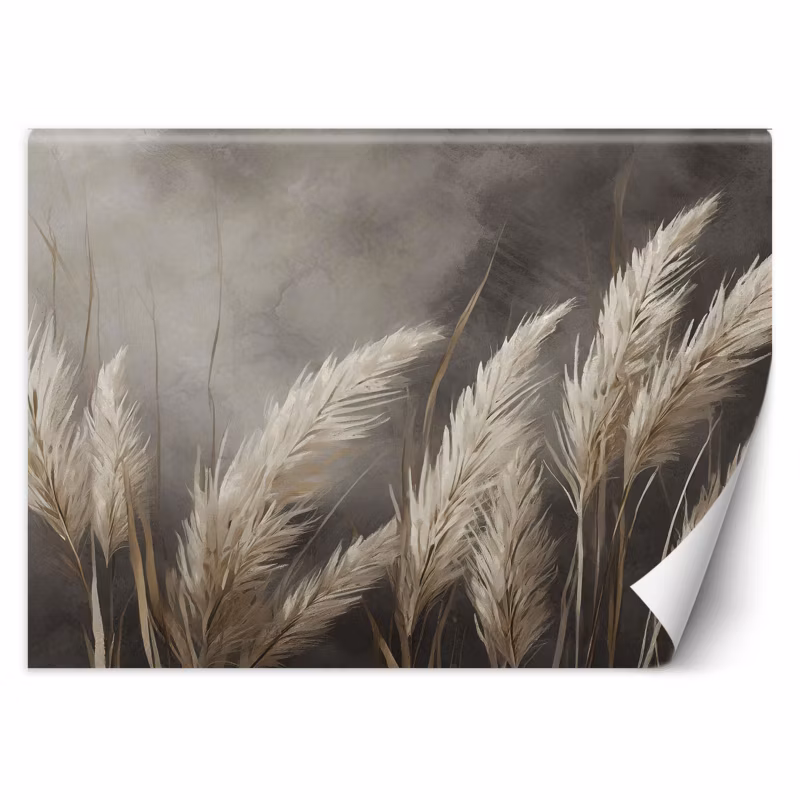 Fototapeta Feeby trawa, natura, botanika, beżowy 350×245 1 szt