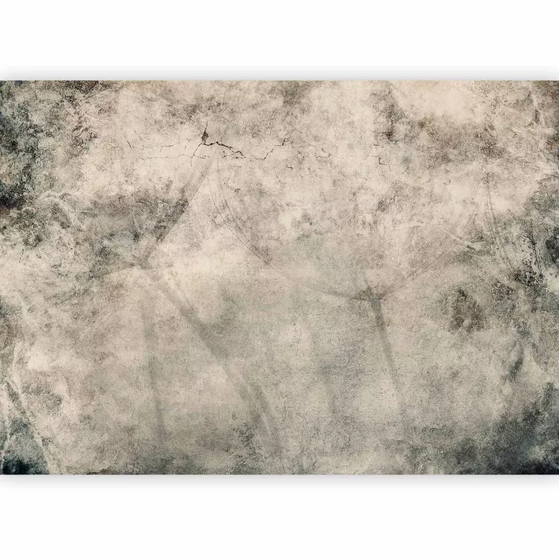 Fototapeta flizelinowa Artgeist 170 g/m2 wodoodporna Kwiaty szara 350×256 (7 części) 10027ab rolka 1 szt