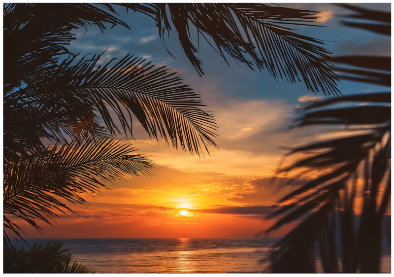 Fototapeta WALLARENA Do Sypialni Salonu Na Flizelinie Plaża Palmy Natura 400×280 cm Tapeta Ścienna 1 szt.