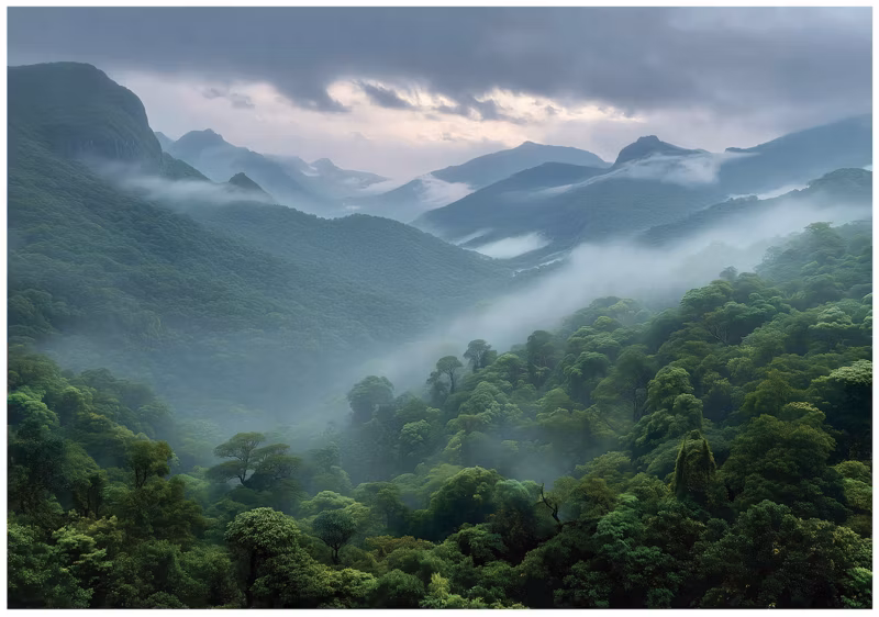 Fototapeta WALLARENA Do Sypialni Salonu Na Flizelinie Las Góry Natura 300×210 cm 1 szt.