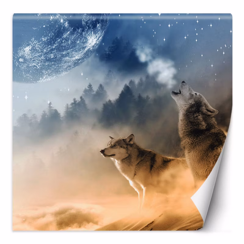 Fototapeta Feeby Wilk księżyc las we mgle 250×250 1 szt