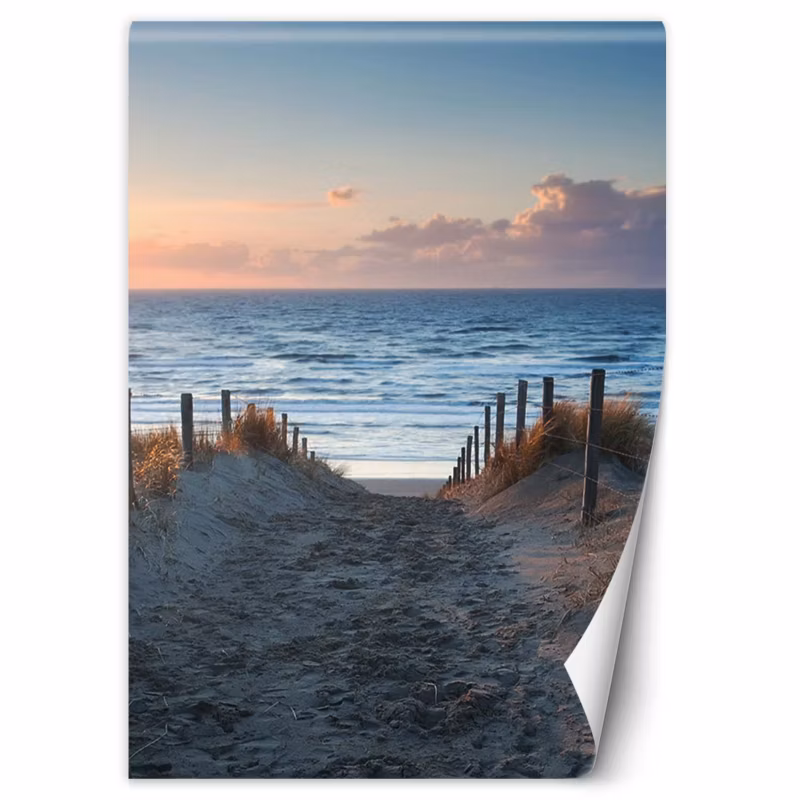 Fototapeta Feeby Zejście na plaże 100×140 1 szt