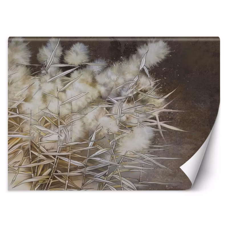 Fototapeta Feeby Trawa pampasowa boho 350×245 1 szt