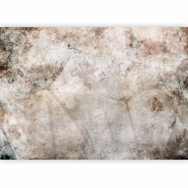 Fototapeta flizelinowa Artgeist 110g/m2 Kwiaty szara 100×70 (2 części) 10027aa rolka 1 szt