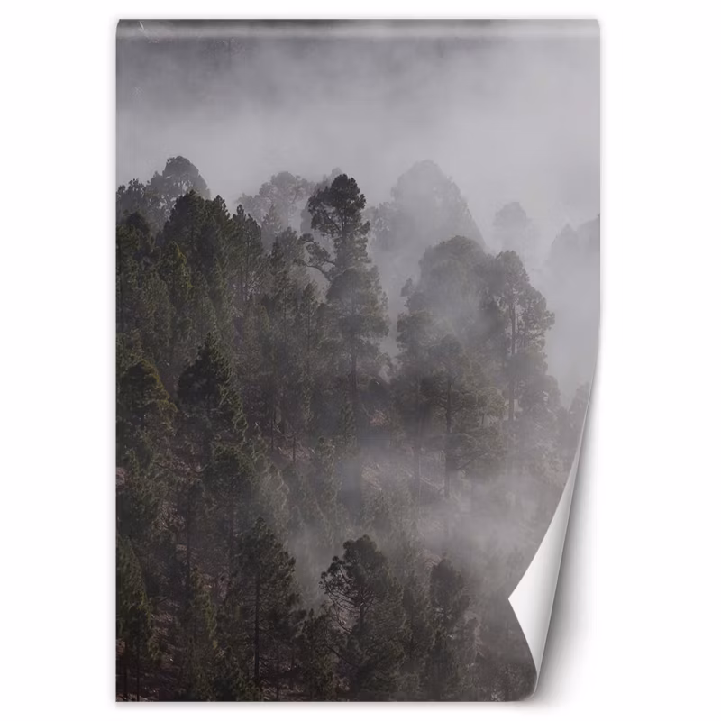 Fototapeta Feeby Zielony las we mgle 150×210 1 szt