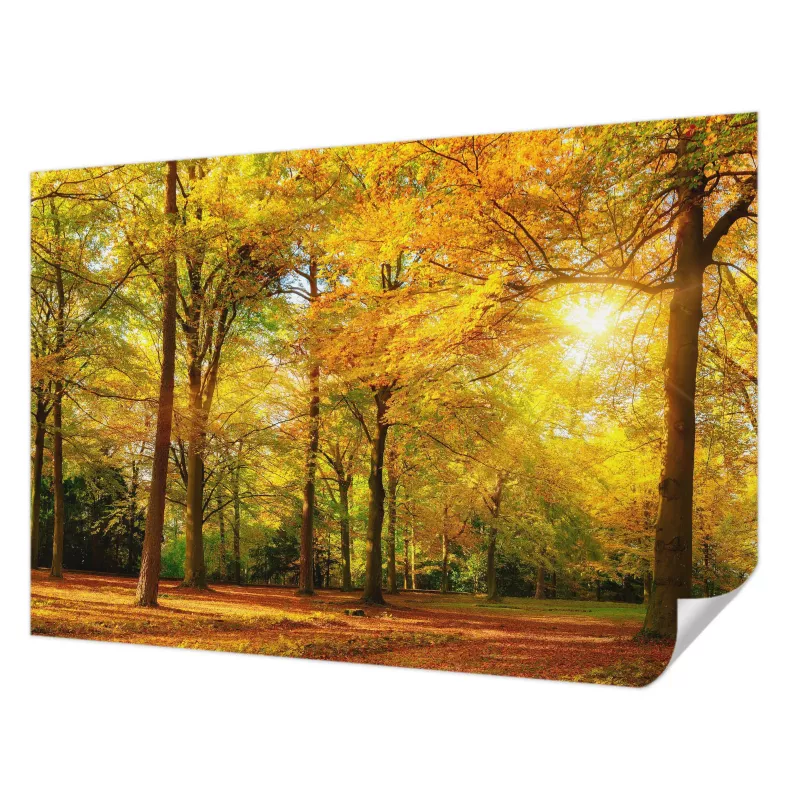 Fototapeta samoprzylepna Tulup 152×104 cm Złote liście Tapeta Do Salonu, Sypialni, Biura 1 szt.