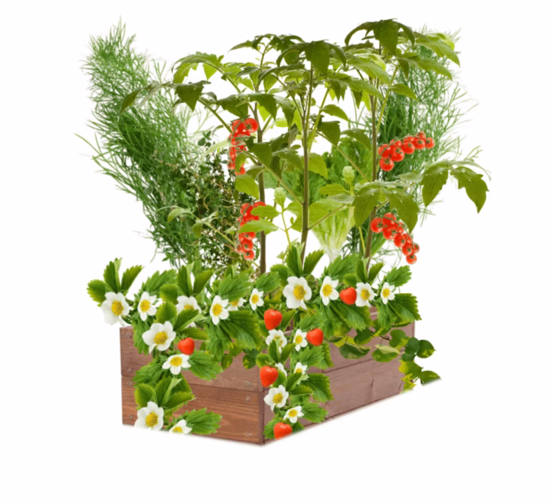 Grządka drewniana MODO24 donica 18x83x30 cm brązowa impregnacja 1 szt.