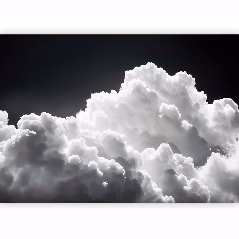Fototapeta flizelinowa Artgeist 170 g/m2 wodoodporna Tła i desenie czarna 350×256 (7 części) 10042aa rolka 1 szt