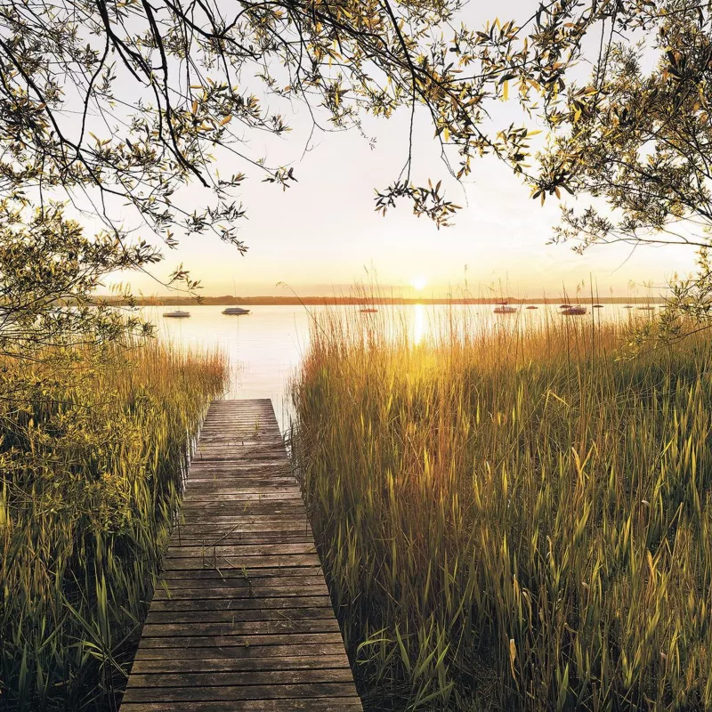 fototapeta Sanders & Sanders nad jeziorem zielonym 300 x 250 cm – 1 rol.