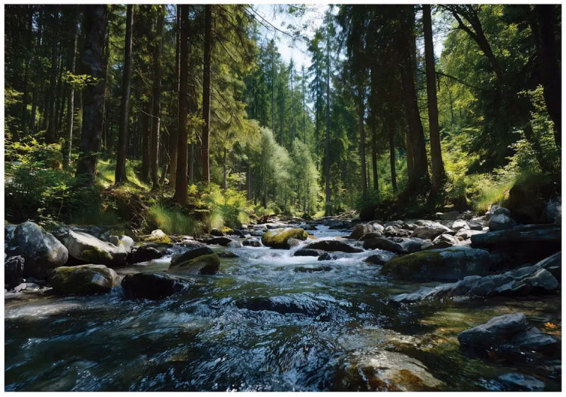 Fototapeta WALLARENA Do Sypialni Salonu Na Flizelinie Las Natura Rzeka Zielony 350×250 cm 16347VX7 1 szt.