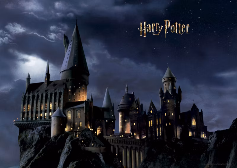 fototapeta Sanders & Sanders Harry Potter Hogwart czarnymIciemnoniebieskim 182 x 252 cm – 1 rol.