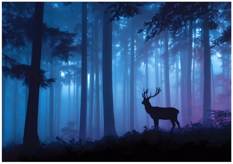 Fototapeta WALLARENA Do Sypialni Salonu Na Flizelinie Las Natura Jeleń Niebieski 250×175 cm 16457VX5 1 szt.