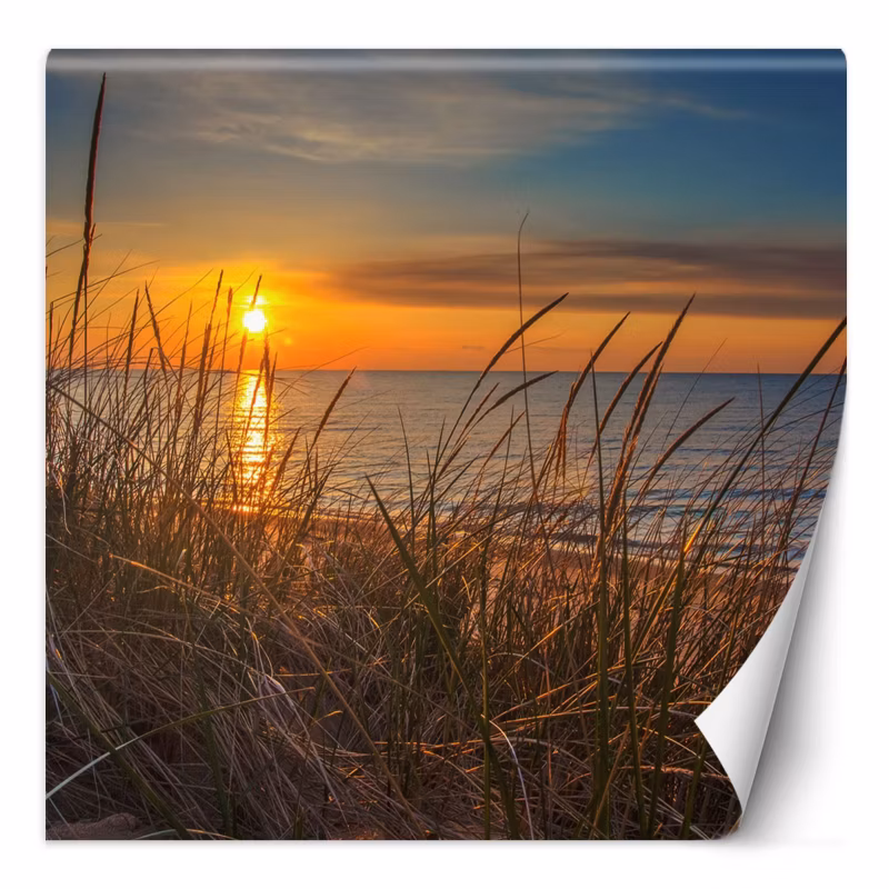 Fototapeta Feeby Zachód słońca nad morzem 150×150 1 szt