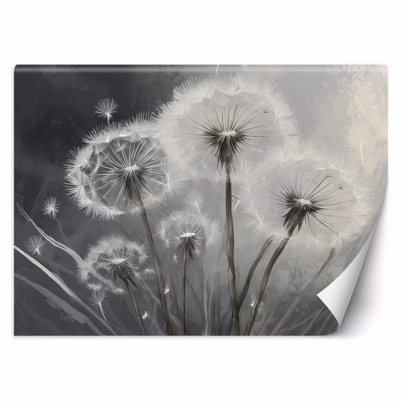 Fototapeta Feeby Zbliżenie na dmuchawce 150×105 1 szt