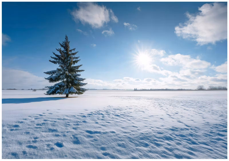 Fototapeta WALLARENA Do Sypialni Salonu Na Flizelinie Pole Śnieg Natura Niebieski 250×175 cm 16289VX5 1 szt.