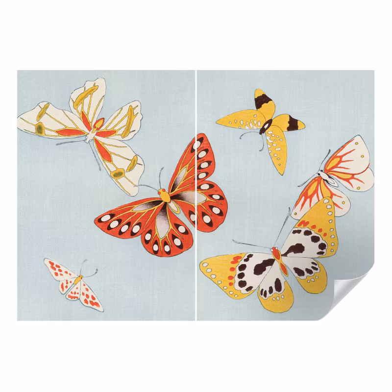 Fototapeta samoprzylepna Wallfluent 208×146 cm Motyle artystyczne Dla Miłośników Przyrody I Entomologii 1 szt.