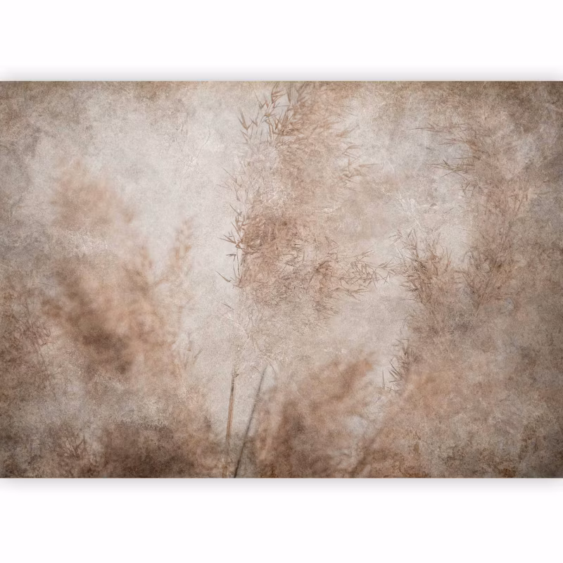 Fototapeta flizelinowa Artgeist 110g/m2 Kwiaty beżowa 100×70 (2 części) 10050aa rolka 1 szt