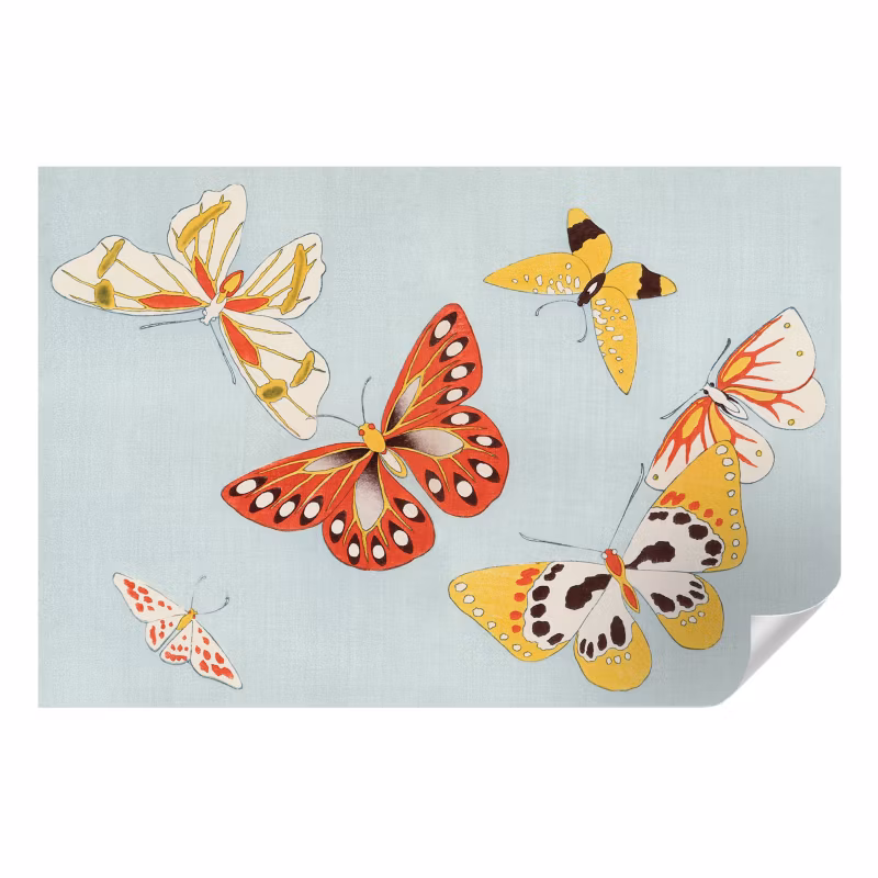 Fototapeta samoprzylepna Wallfluent 104×70 cm Motyle artystyczne Dla Miłośników Przyrody I Entomologii 1 szt.