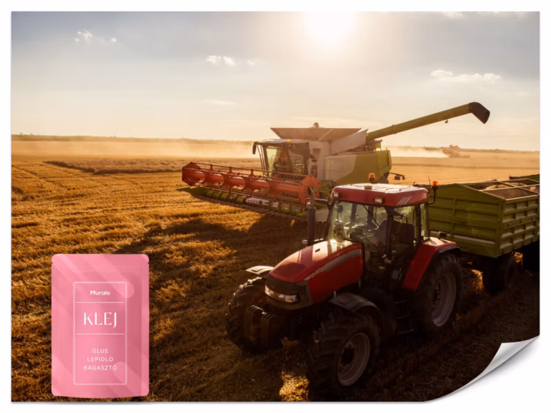 Fototapeta Muralo Traktor na Polu 250×175 cm 1szt.