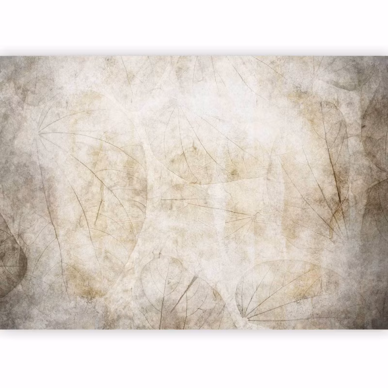 Fototapeta flizelinowa Artgeist 170 g/m2 wodoodporna Abstrakcje szara 350×256 (7 części) 10024aa rolka 1 szt
