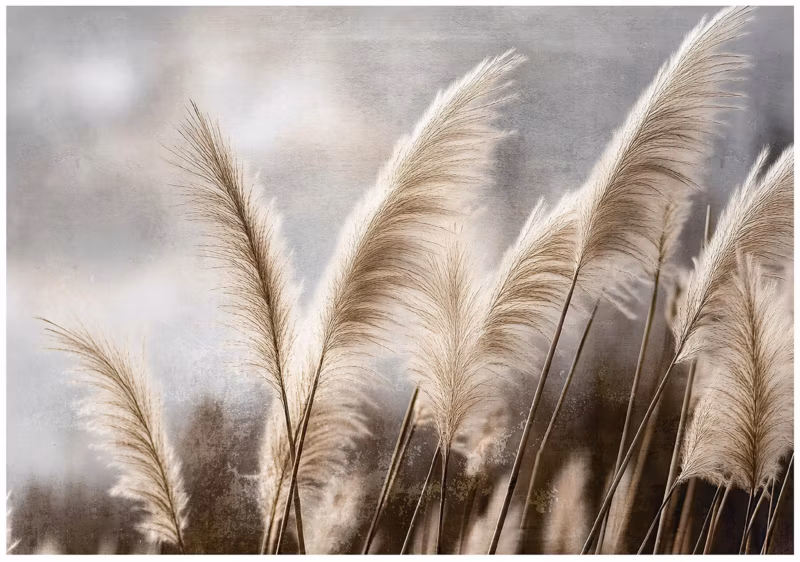 Fototapeta WALLARENA Do Sypialni Salonu Na Flizelinie Trawa Pampasowa Łąka Natura Beżowy 416×254 cm 16006VEXXXL 1 szt.